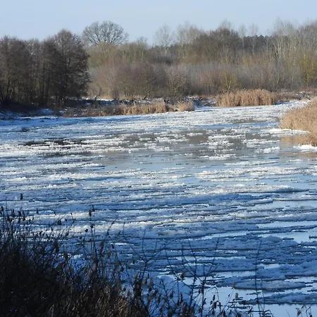 Lawendowy Brzeg