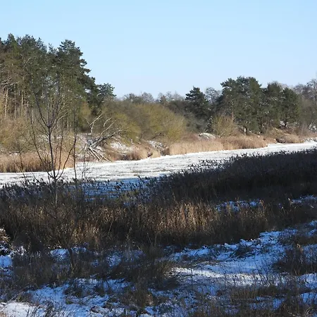 Lawendowy Brzeg Jaryszewo