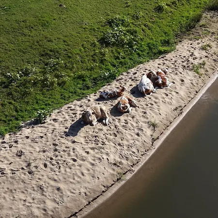 Lawendowy Brzeg Domek alpejski *