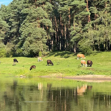 Lawendowy Brzeg Шале Jaryszewo