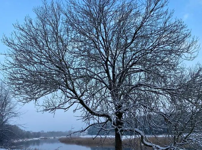 Lawendowy Brzeg Chalet *