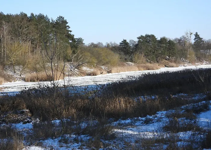 Lawendowy Brzeg Jaryszewo