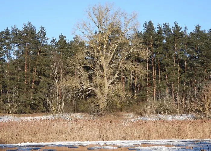 Lawendowy Brzeg Chalet *